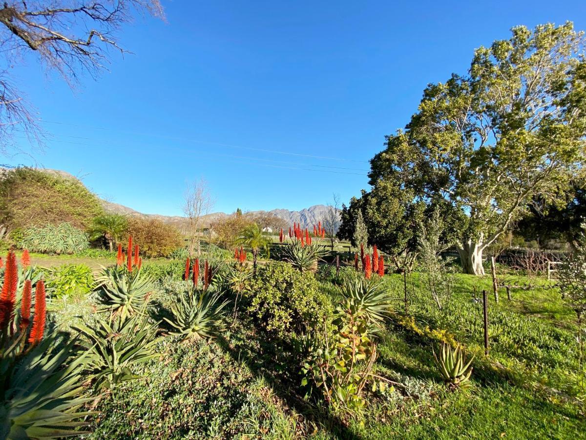 Olive And Vine Farm Cottage ฟรันเชิค ภายนอก รูปภาพ
