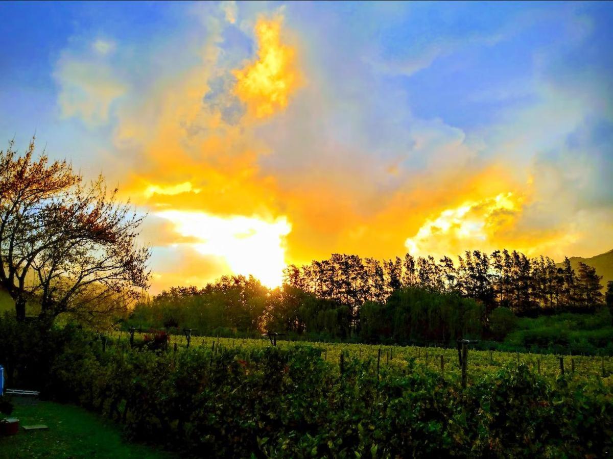 Olive And Vine Farm Cottage ฟรันเชิค ภายนอก รูปภาพ